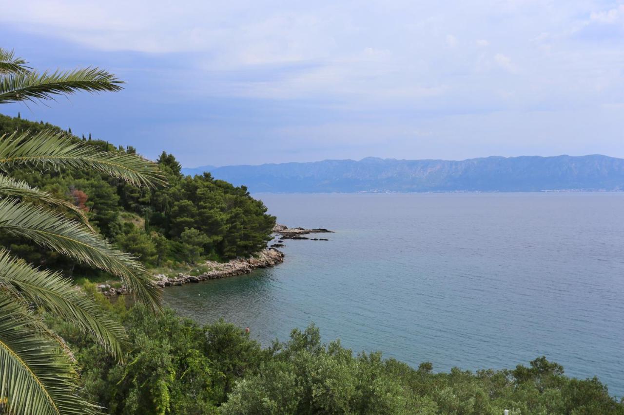Apartments And Rooms By The Sea Trpanj, Peljesac - 258 Экстерьер фото